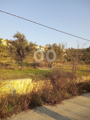 Lands for sale dans Semkaniyeh - land for sale