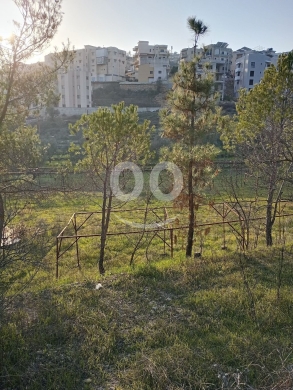 Lands for sale dans Semkaniyeh - land for sale