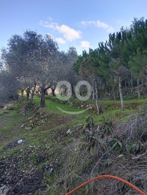 Lands for sale in Dmayt - land for sale