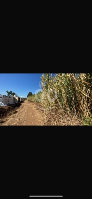 Lands for sale in Zouk Hbalseh - أرض للبيع في مار ليت ملحم 7500 م مزروعة ليمون على الشارع العام | Land for Sale in Mar Lit Melhem 750