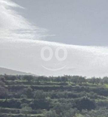 Lands for sale dans JdeidehKatih - أرض للبيع في جديدة القيطع مساحة 5800م² على الشارع العام | 5800 sqm Land for Sale in Jdeidet El Qaita