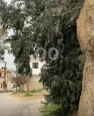 Lands for sale in JdeidehKatih - أرض للبيع في جديدة القيطع مساحة 3680م² مطلة على نهر البارد | 3680 sqm Land for Sale