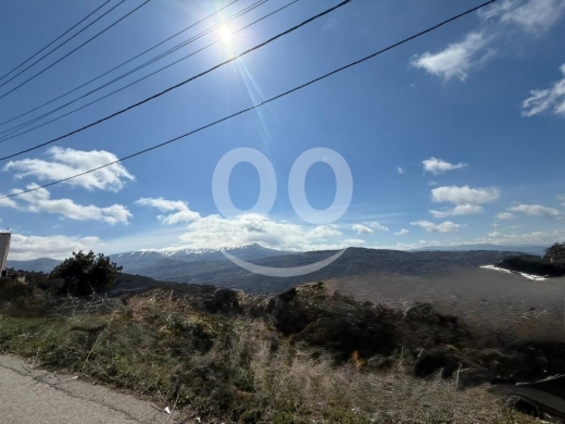 4000m2 land+mountain view 4sale in Wata el joz-أرض للبيع في وطى الجوزAM66L121 — 3