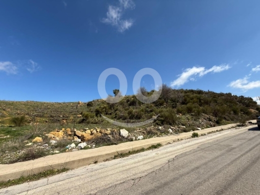 4000m2 land+mountain view 4sale in Wata el joz-أرض للبيع في وطى الجوزAM66L121 — 2