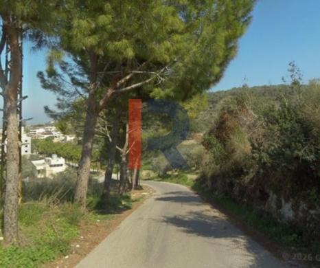 R9-3351 Land for Sale in Ein Al Dahab Akkar – 10,000 m²