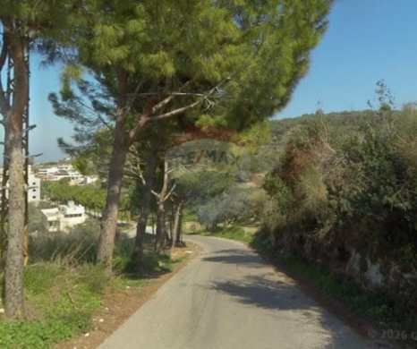 Lands for sale in Aicha Bakkar - R9-3351 Land for Sale in Ein Al Dahab Akkar - 10,000 m²أرض للبيع في عين الذهب عكار - 10,000 متر مربع