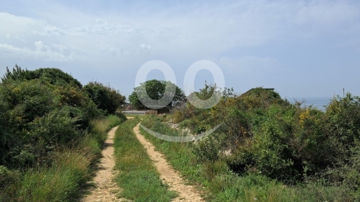 Land for Sale Monsef Jbeil Area 6545Sqm — 4