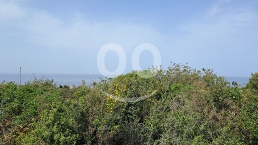 Land for Sale Monsef Jbeil Area 6545Sqm — 5