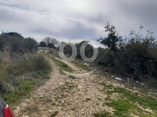 Land for Sale Monsef Jbeil Area 6545Sqm — 3