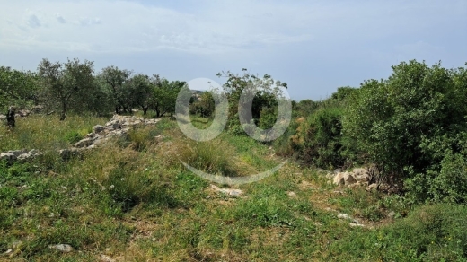 Land for Sale Monsef Jbeil Area 6545Sqm — 6