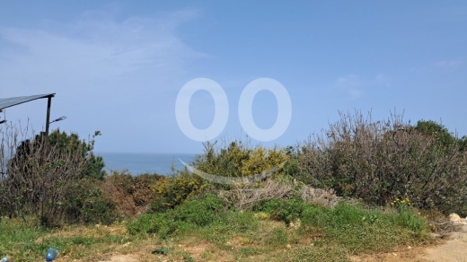 Land for Sale Monsef Jbeil Area 6545Sqm — 2