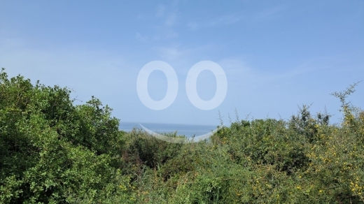 Lands for sale in Mounsef - Land for Sale Monsef Jbeil Area 6545Sqm