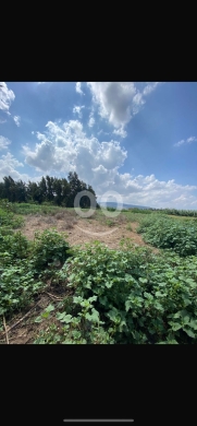 Lands for sale in Cheikh Taba - للبيع أرض في الشيخ طابا بمساحة 2160 م | Land for Sale in Cheikh Taba 2,160 sqm