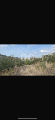 Lands for sale in Zawarib - للبيع أرض في الزواريب على الشارع العام مساحة 929 م | Land for Sale in Zouarib Main Road