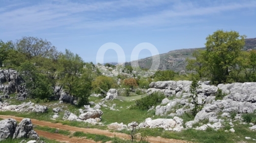 Lands for sale in Tarchich - أرض مميزة للبناء في ترشيش - موقع استراتيجي وإطلالة كاشفة | Prime Land for Sale in Tarshish