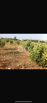 Prime Land for Sale in Bezbina - 4,500 sqm Near Main Road | أرض للبيع في بزبينا عكار - ٤٥… — 2
