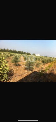 Lands for sale in Mekhtlef - Prime Land for Sale in Bezbina - 4,500 sqm Near Main Road | أرض للبيع في بزبينا عكار - ٤٥٠٠ م٢ موقع