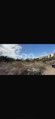 Prime 35,000 sqm Land in Bezbina - Main Road | أرض للبيع في بزبينا مساحة 35 ألف متر على ا… — 2