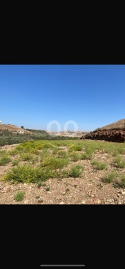 Lands for sale in Tleil - أرض للبيع في تليل عكار 7080 م² - موقع مميز | Land for Sale in Talil Akkar 7080 sqm