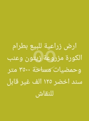 Lands for sale dans Batroumine - أرض زراعية مثمرة للبيع في بطرام الكورة | Productive Agricultural Land in Batroum, Koura