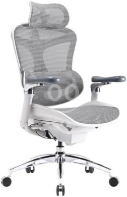 Mobilier et équipement de bureau dans Mansourieh - كراسي Sihoo Doro C300 المريحة | كرسي مكتب طبي متطور C300 & C300 Pro