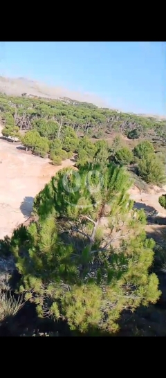 أرض سوبر مميزة للبيع في بمهريه قضاء عاليه رملية | Prime Land for Sale in Bmohray Aley Pine Trees