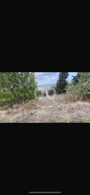 Lands for sale in Tachaa - أرض للبيع في تاشع عكار مساحة ٣٣٤٧ م | Land for Sale in Tashea, Akkar 3347 sqm