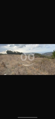 أرض للبيع في تاشع عكار مساحة ٣٣٤٧ م | Land for Sale in Tashea, Akkar 3347 sqm — 2