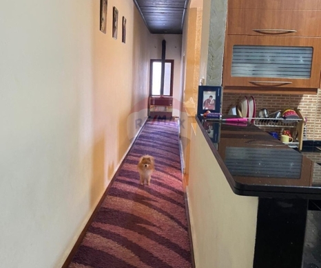 Apartments for sale in Dahr el-Ain - R9-3391 Apartment for Sale in Daher Al Ain - Koura | 200 m² شقة للبيع في ضهر العين - الكورة | 200 م²