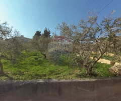 R9-3400 Land for Sale in Bzeil – Akkar | 1,000 m² أرض للبيع في بزيل – عكار | 1,000 م²