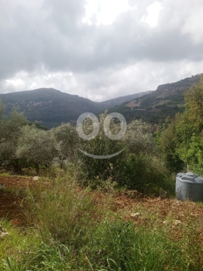 Apartments for rent in Aley - شاليه دوبلكس مفروش للإيجار في الرملية عالية | Furnished Duplex Chalet for Rent in Ramlieh