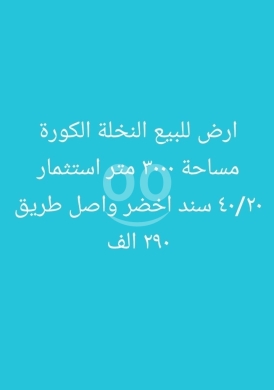 Lands for sale in Nakhleh - أرض للبيع في النخلة الكورة 3000 م بسند أخضر وطريق | Land for Sale in Nakhleh 3000 sqm