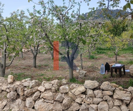 R9-3412 Land for Sale in Fnaidek – Akkar | 9,000 m² — 6