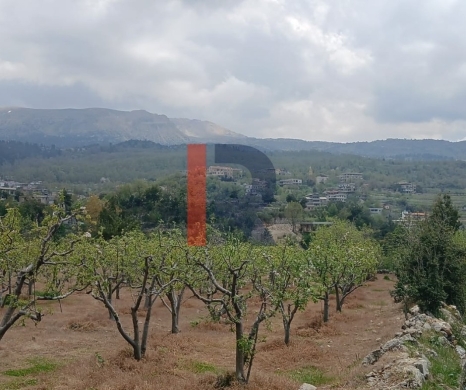 R9-3412 Land for Sale in Fnaidek – Akkar | 9,000 m² — 5