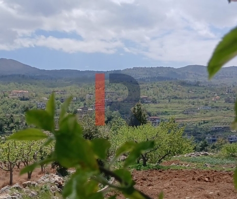 R9-3412 Land for Sale in Fnaidek – Akkar | 9,000 m² — 2