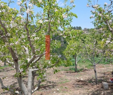 R9-3412 Land for Sale in Fnaidek – Akkar | 9,000 m² — 3