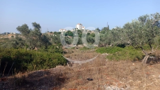 Lands for sale in Bechmizzine - ارض صغيرة للبيع اميون حدود بشمزين