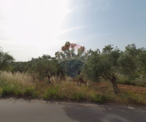 Lands for sale in Btourram - R9-3426 Land for Sale in Btourram Koura - 1,391 m²أرض للبيع في بطرام الكورة - 1,391 م²