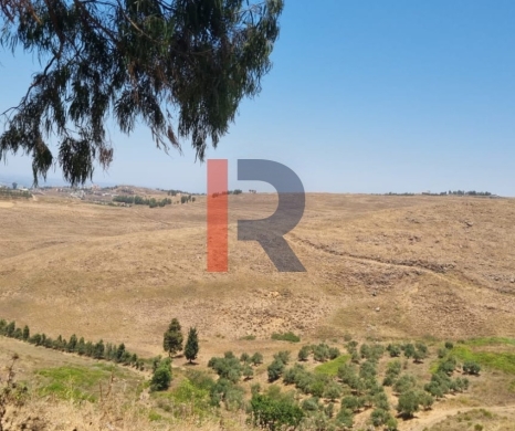 R9-3429 Land for Sale in Qatteh Akkar – 98,652 m² — 2