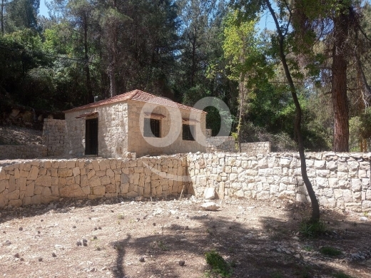 Lands for sale in Batroun - شاليه للبيع في غابة صنوبر حردين مع أرض واسعة | Chalet with 853 sqm Land for Sale Hardine