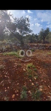 اراضي للبيع في البترون - أرض للبيع 5154م² في بطرام (شمزين) بتصنيف 20/40 | 5154sqm Land for Sale in Batroum Shemzin