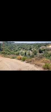 Lands for sale in Barsa - أرض مميزة للبيع في برسا الكورة 2013م² | Prime Land for Sale in Barsa El Koura 2013sqm2013
