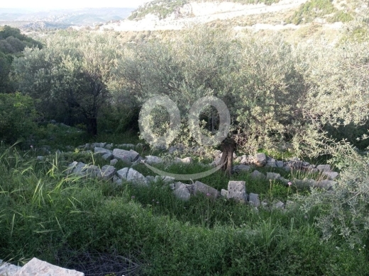 Land for Sale Halta Batroun Area 661Sqm — 5