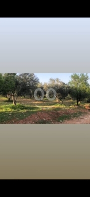 Lands for sale in Minieh - أرض للبيع في المنية - اتوستراد الجديدة محيط فلل | Prime Investment Land in Minieh New Highway Area