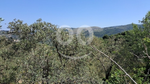 Land for Sale Ain Kfaa Jbeil Area 6534Sqm — 4