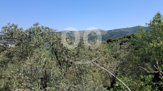 Land for Sale Ain Kfaa Jbeil Area 6534Sqm — 2