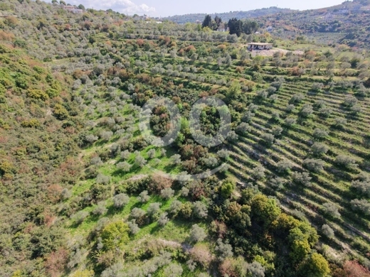 Lands for sale in Ghalboun - Land for Sale Ain Kfaa Jbeil Area 6534Sqm