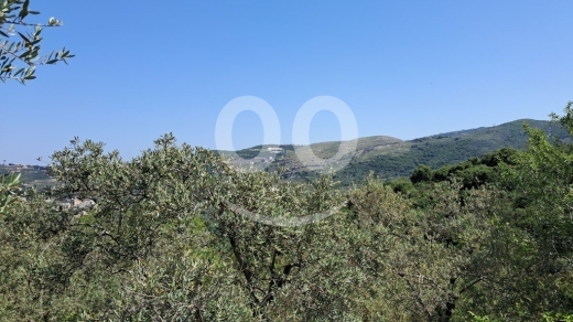 Land for Sale Ain Kfaa Jbeil Area 6534Sqm — 3