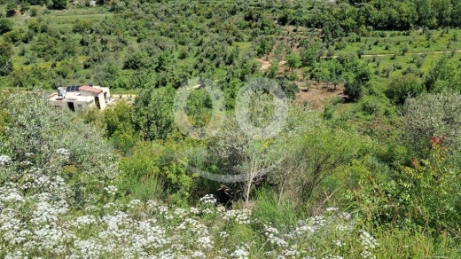 Land for Sale Ain Kfaa Jbeil Area 12500Sqm — 2