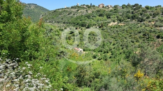 Lands for sale in Bejje - Land for Sale Ain Kfaa Jbeil Area 12500Sqm